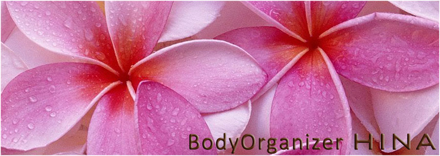 Body Organizer HINA　イメージ写真